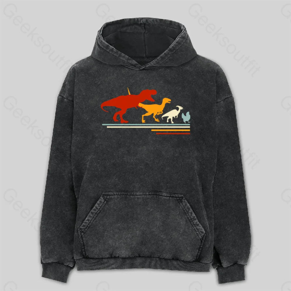 Timeless Style Dinosaur Evolution Washed Hoodie