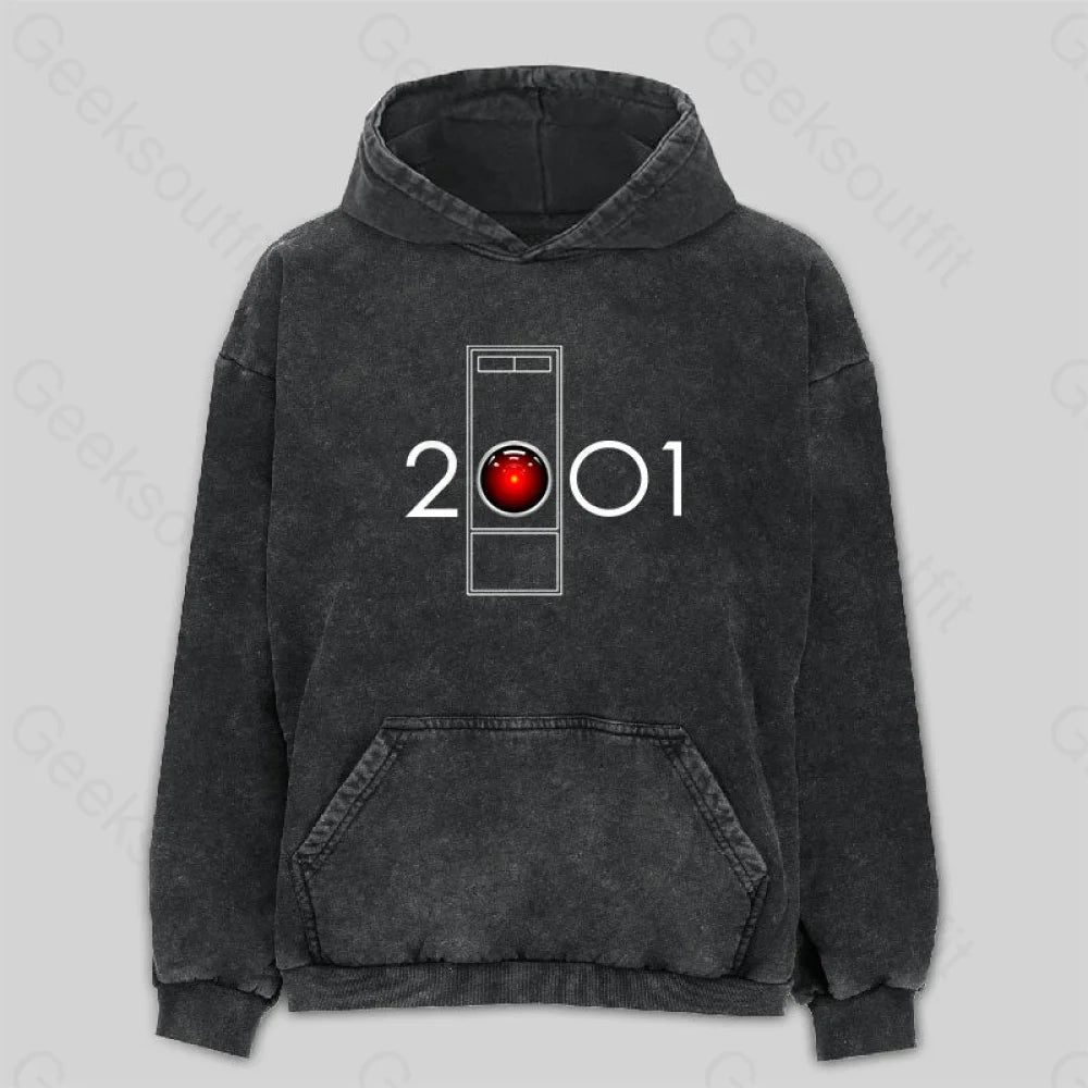 Cozy Apparel 2001 - HAL Washed Hoodie